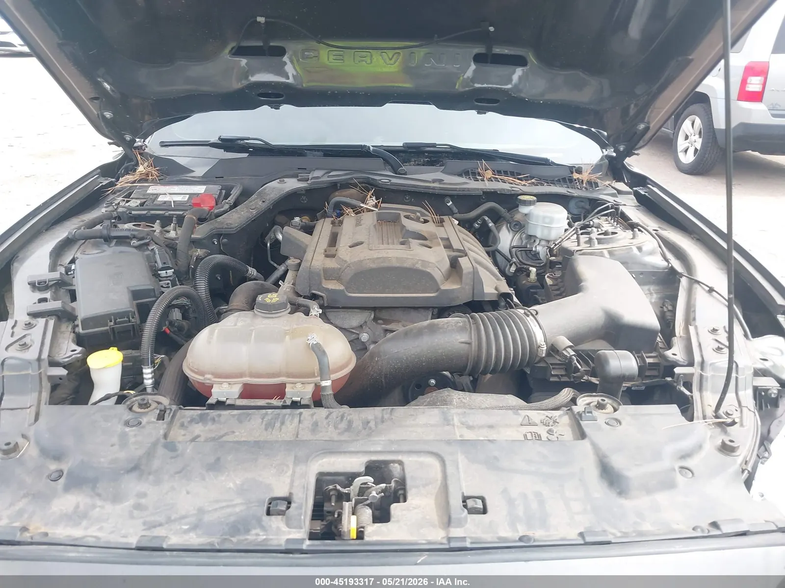2019 Ford Mustang EcoBoost