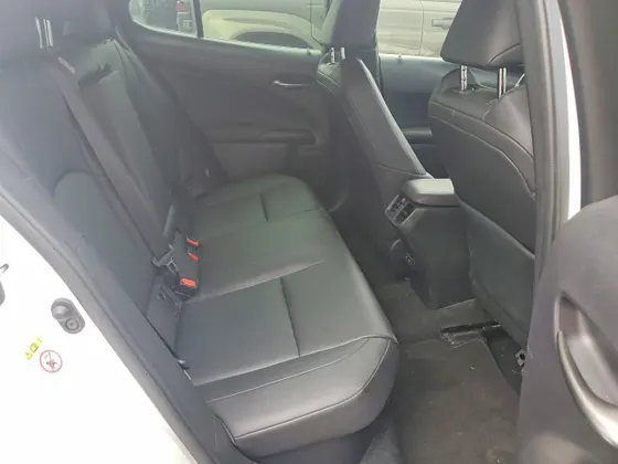 2019 Lexus UX UX 250h F SPORT