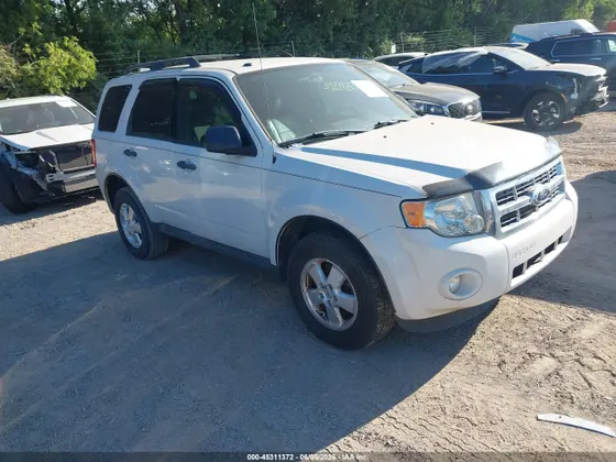 2011 Ford Escape XLT
