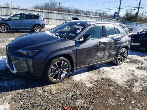 2025 Lexus UX UX 300h Premium