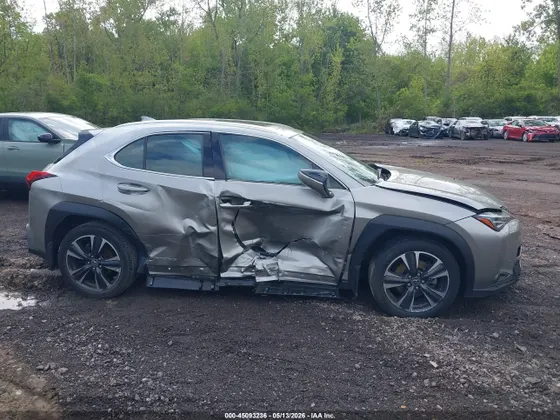 2021 Lexus UX UX 250h