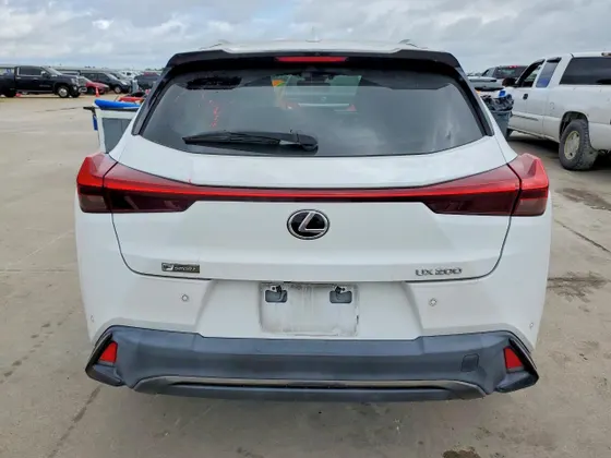 2019 Lexus UX UX 200 F SPORT