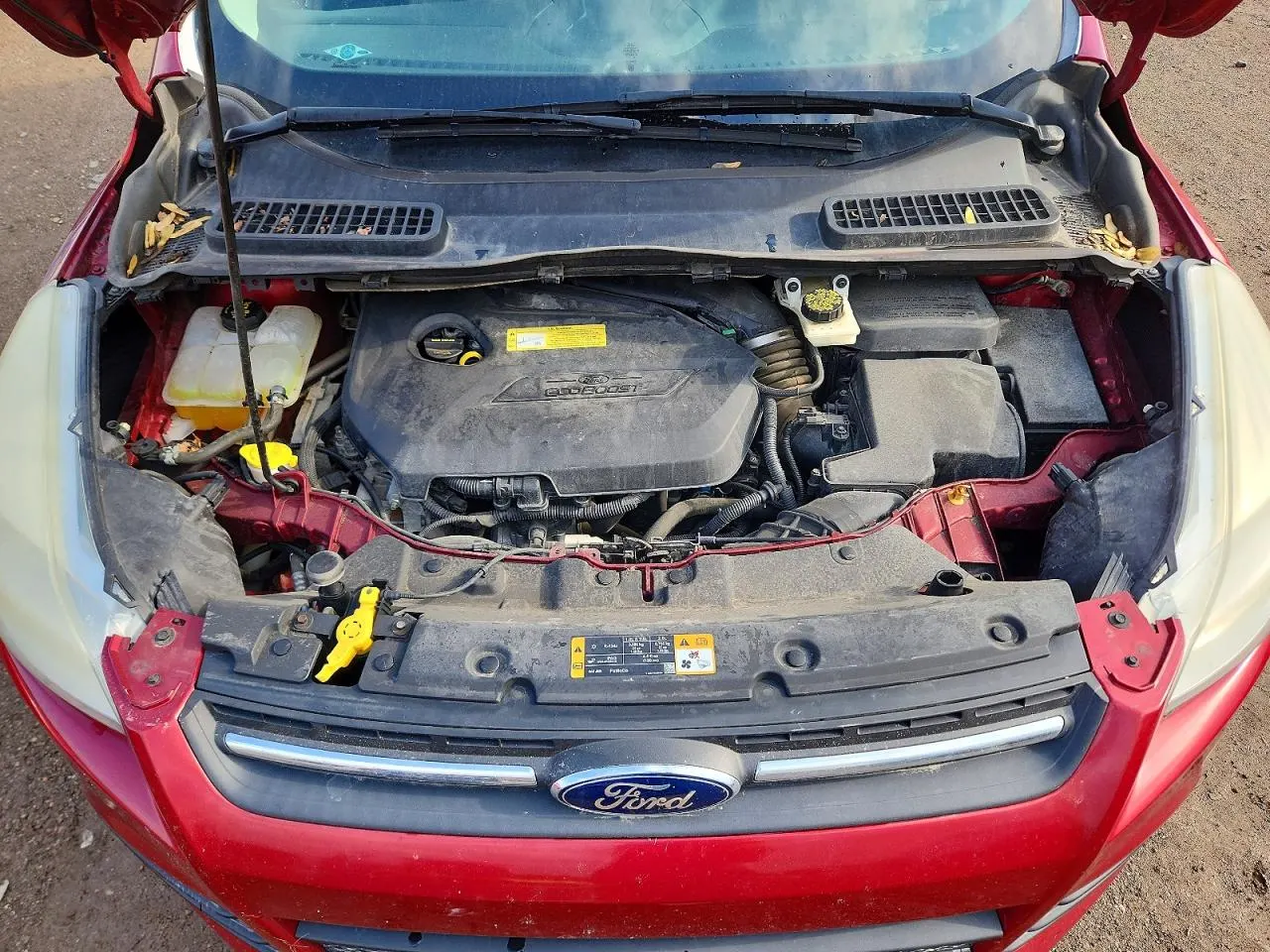 2013 Ford Escape SE