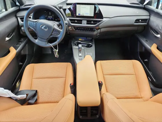 2025 Lexus UX UX 300h Premium