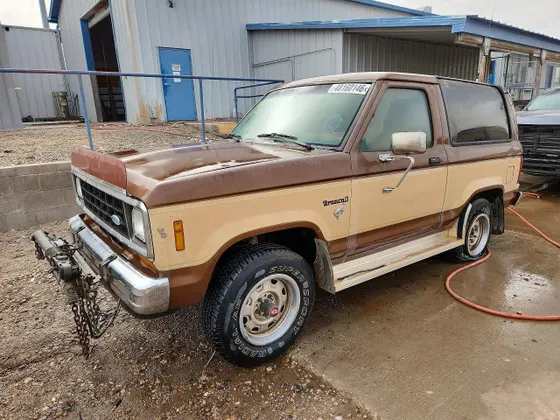 1985 Ford Bronco II