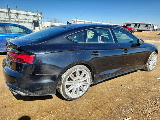 2024 Audi S5 Sportback Premium Plus