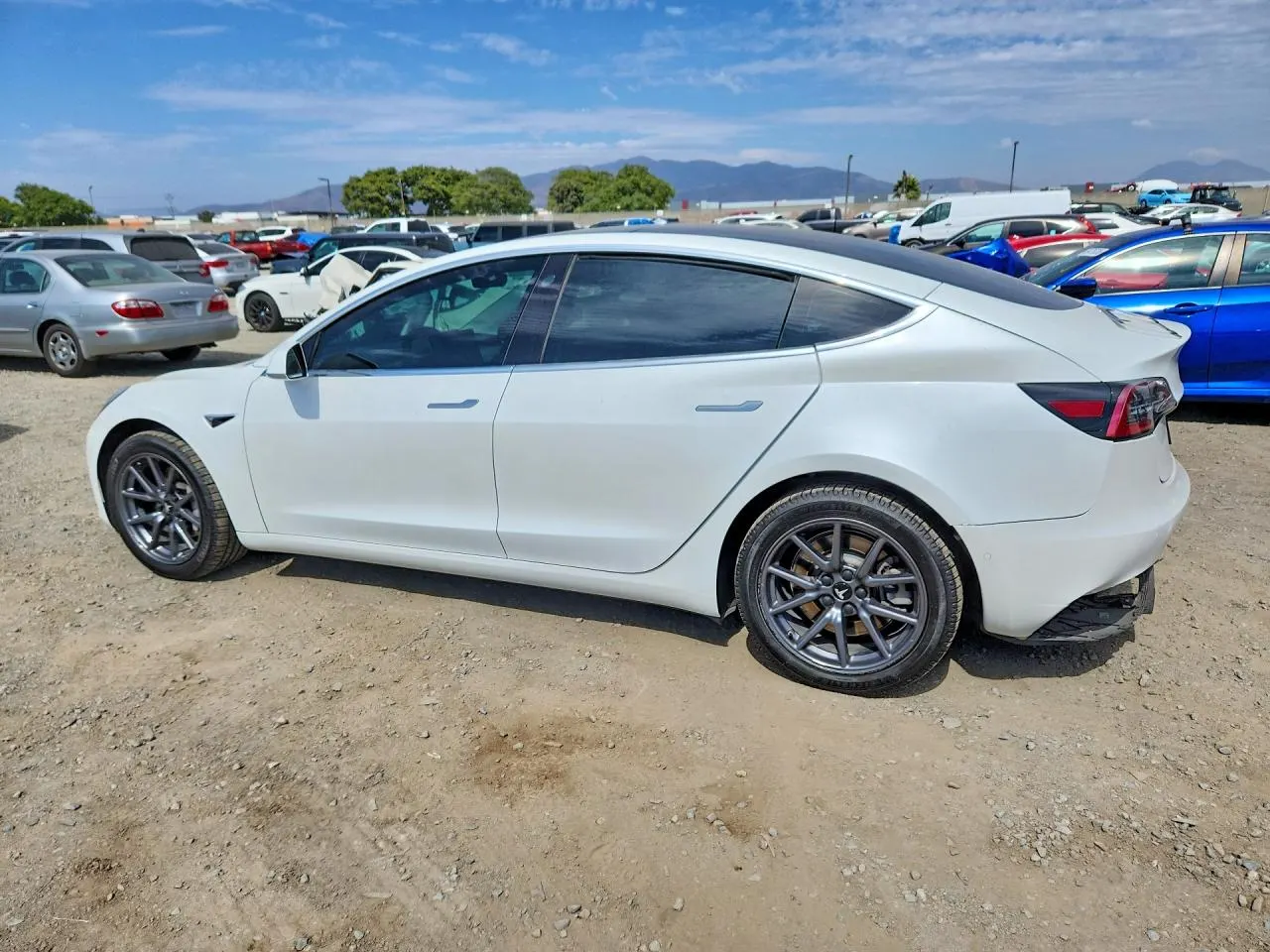 2020 Tesla Model 3 Standard Range Plus