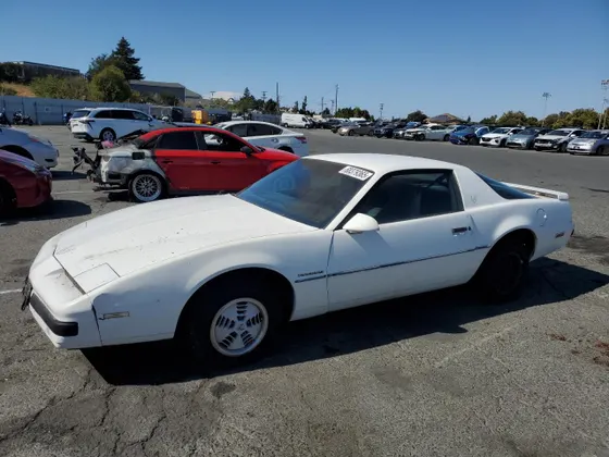 1985 Pontiac Firebird