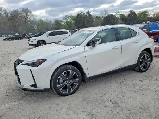 2024 Lexus UX UX 250h Premium