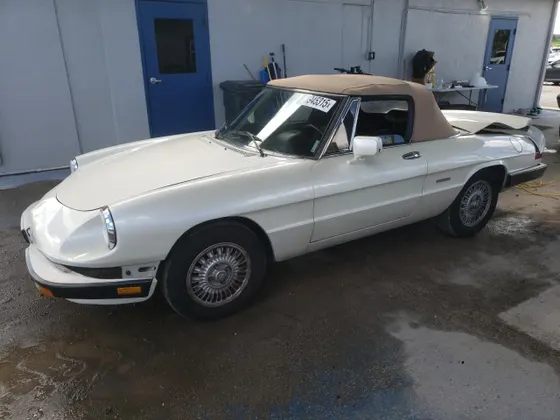 1989 Alfa Romeo Spider Graduate