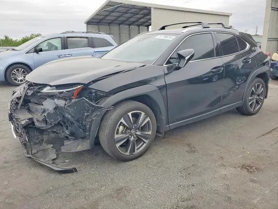 2023 Lexus UX UX 250h