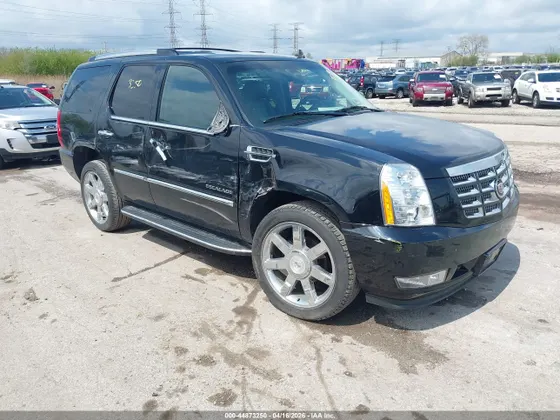 2011 Cadillac Escalade Luxury