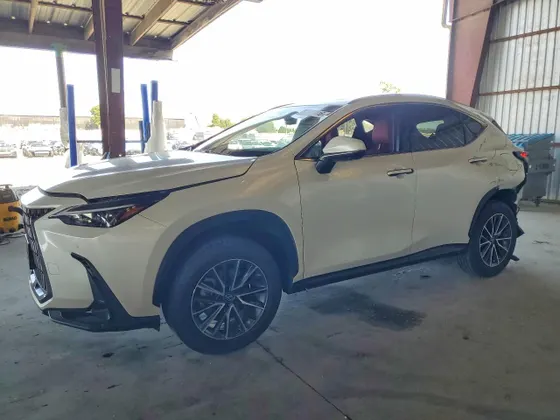 2025 Lexus NX NX 350h Premium