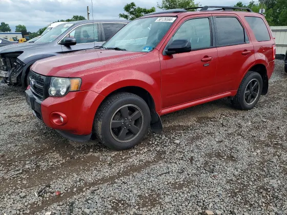 2010 Ford Escape XLT