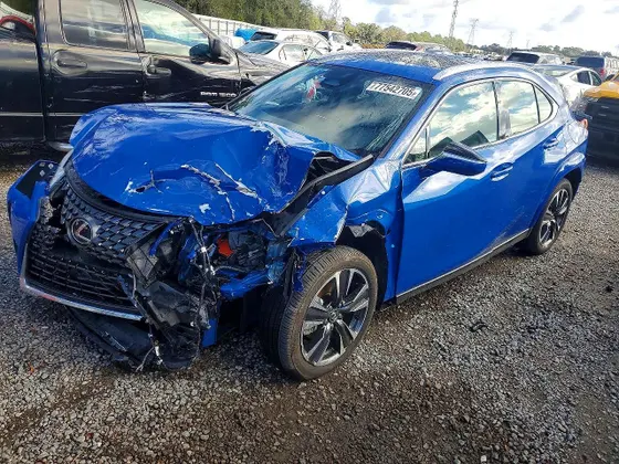 2025 Lexus UX UX 300h Premium