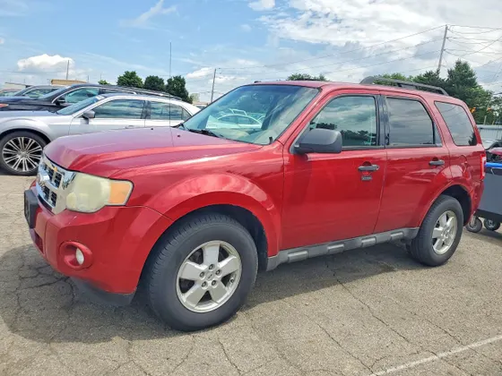 2010 Ford Escape XLT