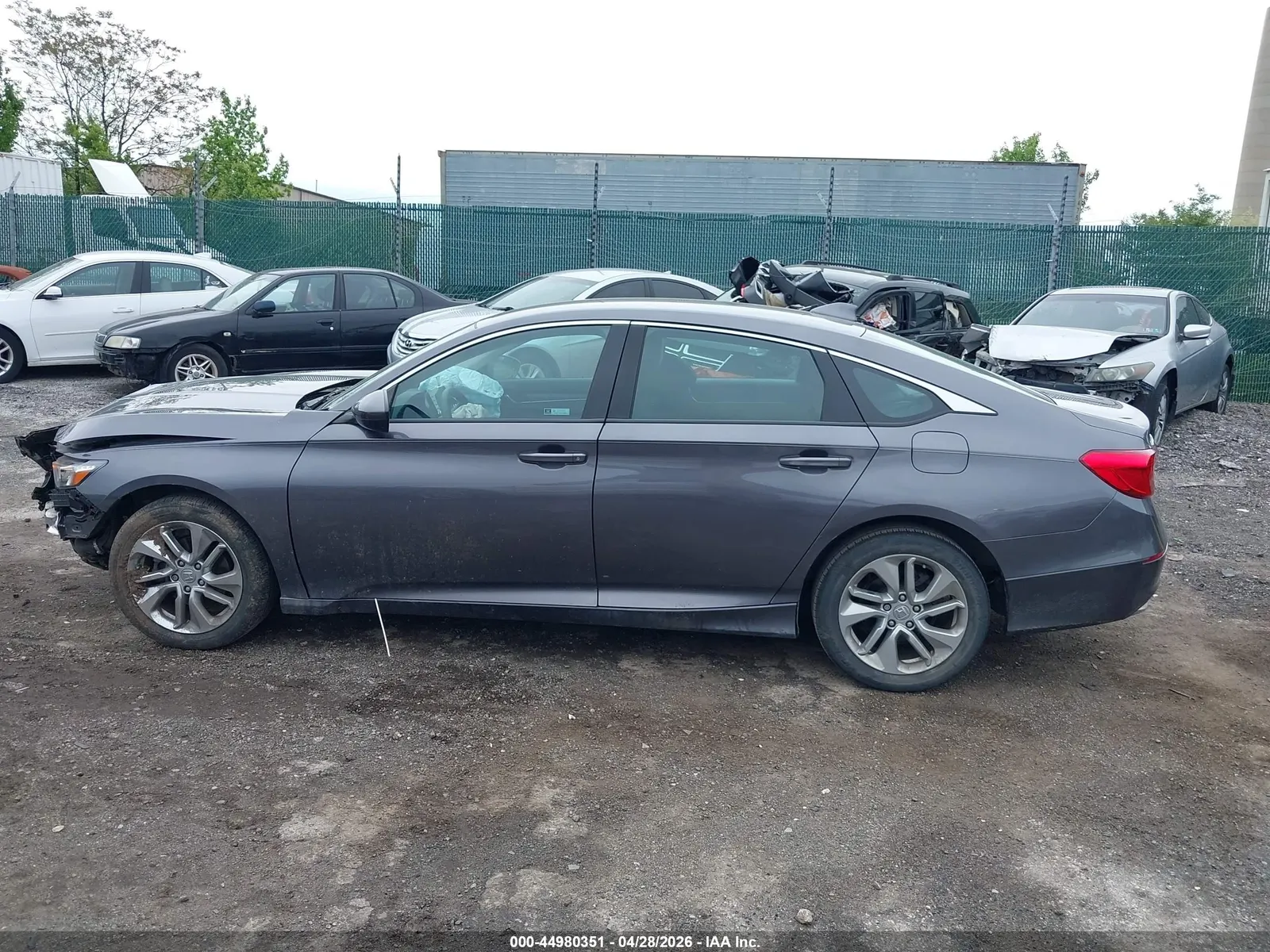 2019 Honda Accord Sedan LX 1.5T