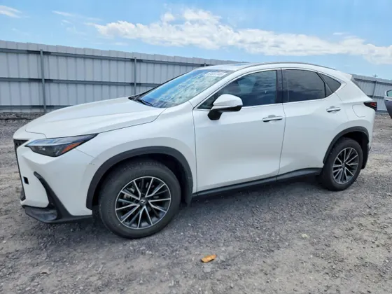 2024 Lexus NX NX 350h Premium