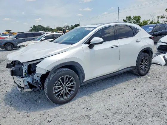 2024 Lexus NX NX 350h