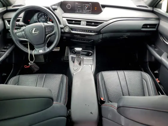 2019 Lexus UX UX 200 F SPORT