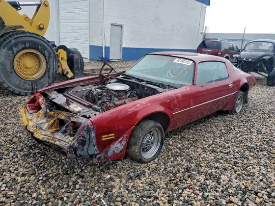 1981 Pontiac Firebird