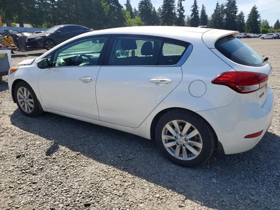 2015 Kia Forte 5-Door EX