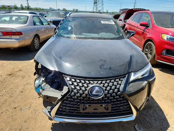 2020 Lexus UX UX 250h