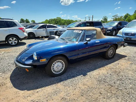 1979 Alfa Romeo Spider