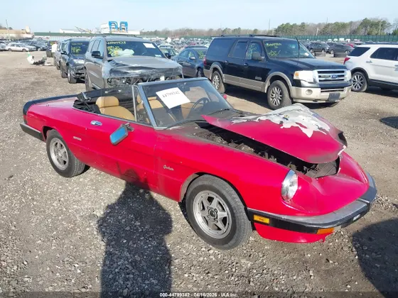 1990 Alfa Romeo Spider GRADUATE