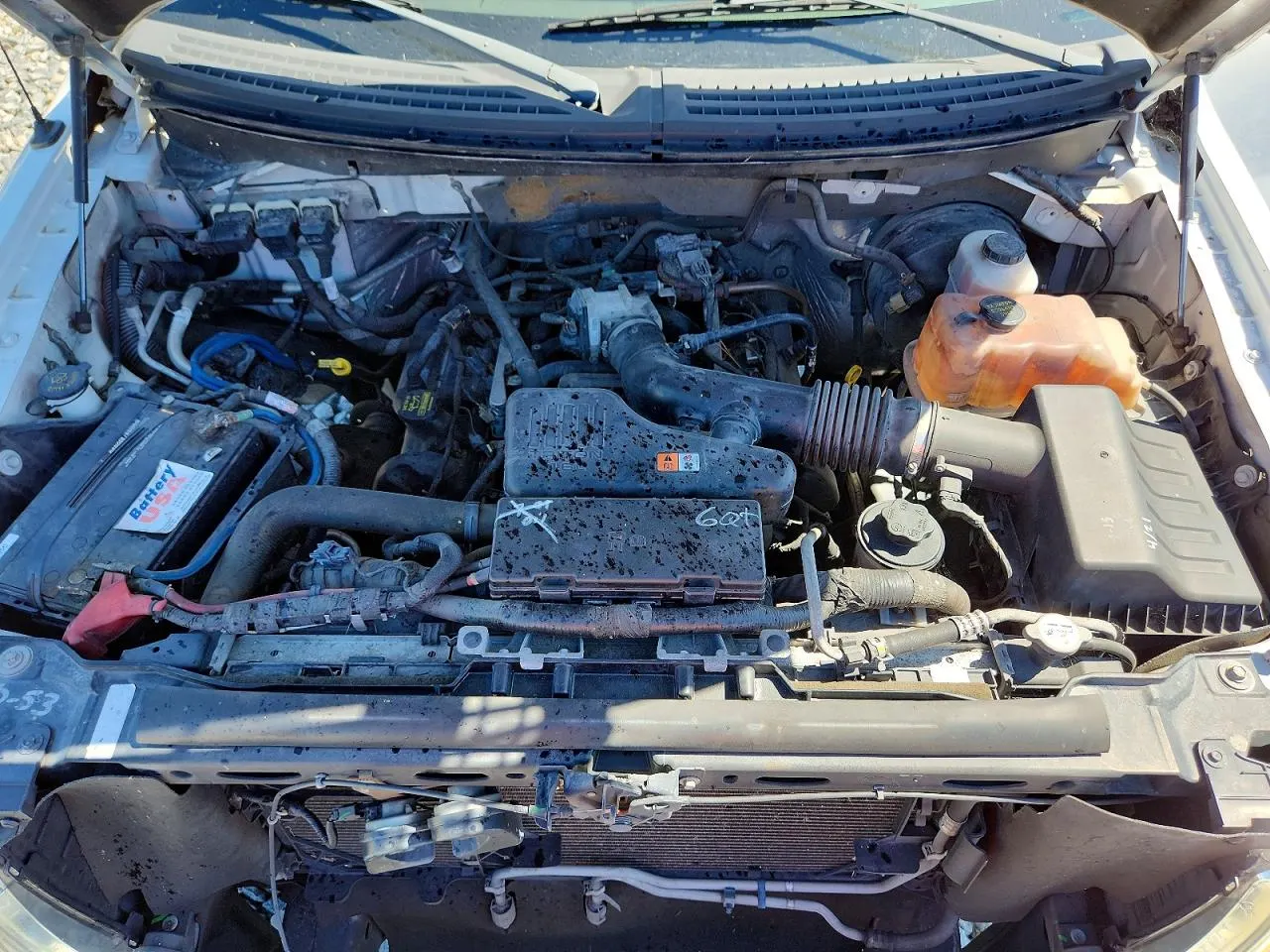 2010 Ford F-150 XL