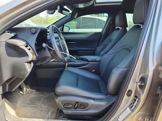 2022 Lexus UX UX 250h