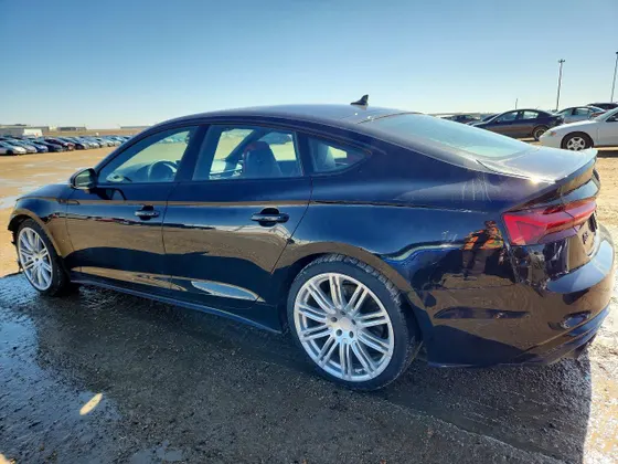 2024 Audi S5 Sportback Premium Plus