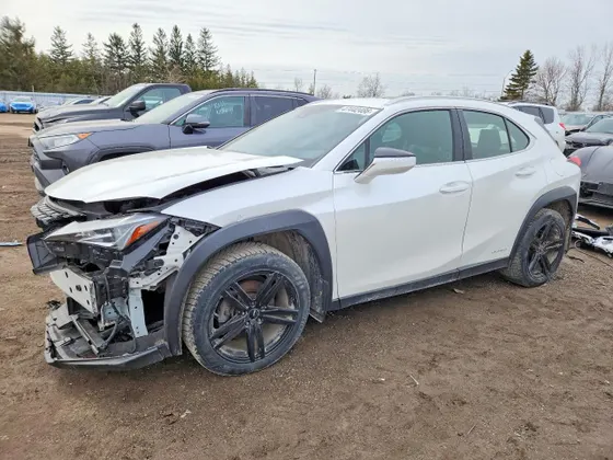 2021 Lexus UX UX 250h
