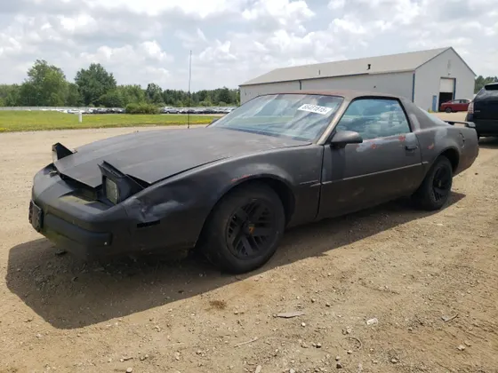 1989 Pontiac Firebird