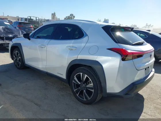 2020 Lexus UX UX 250h