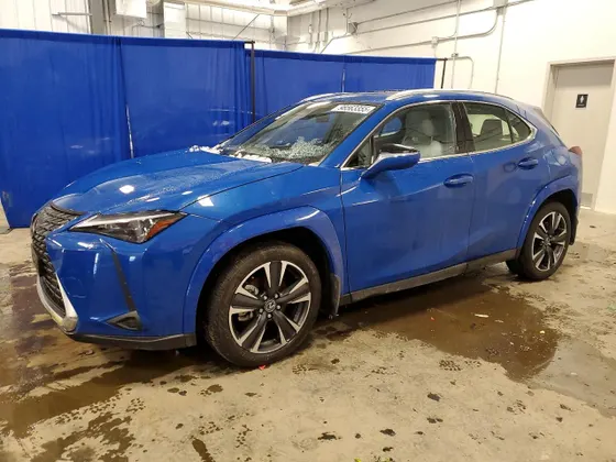 2025 Lexus UX UX 300h Premium