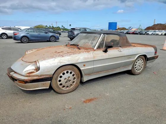 1988 Alfa Romeo Spider