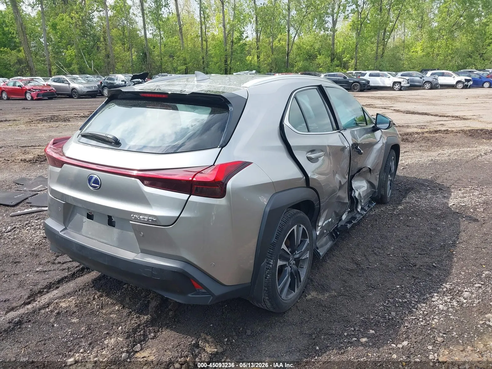 2021 Lexus UX UX 250h