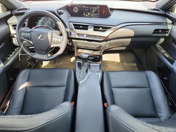 2022 Lexus UX UX 250h