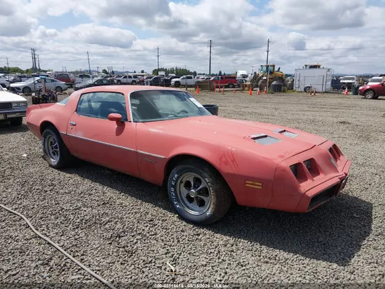 1981 Pontiac Firebird FORMULA