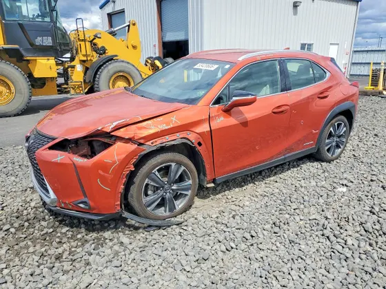2020 Lexus UX UX 250h