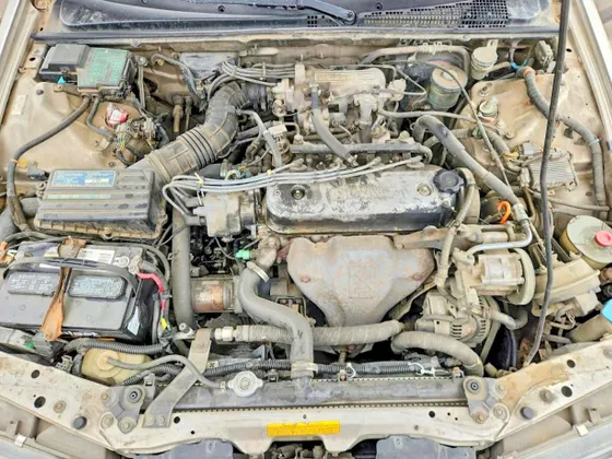 1991 Honda Accord