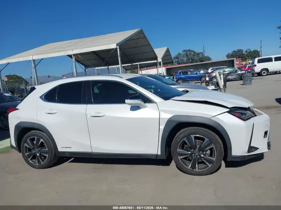 2020 Lexus UX UX 250h