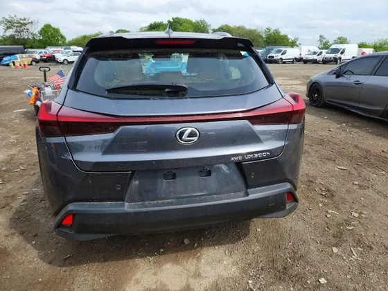 2025 Lexus UX UX 300h Premium