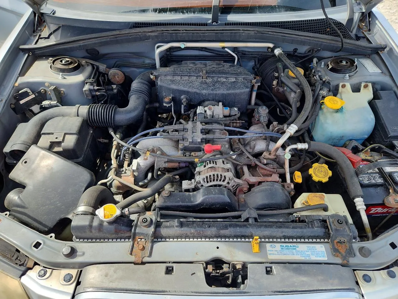 2004 Subaru Forester (Natl) XS
