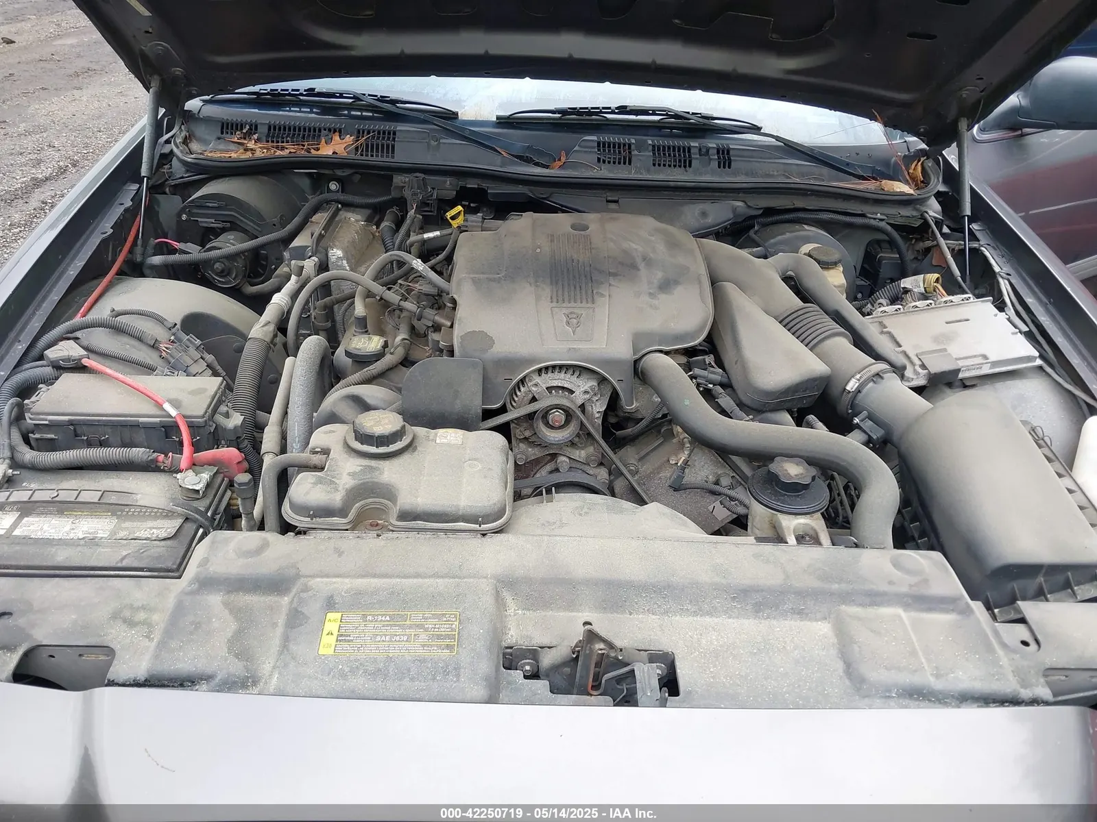 2010 Ford Crown Victoria COMMERCIAL REGULAR WHEELBASE