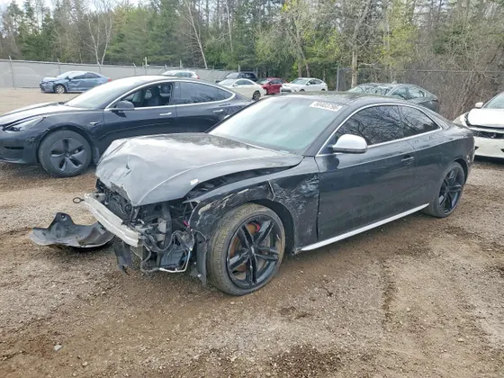 2009 Audi S5