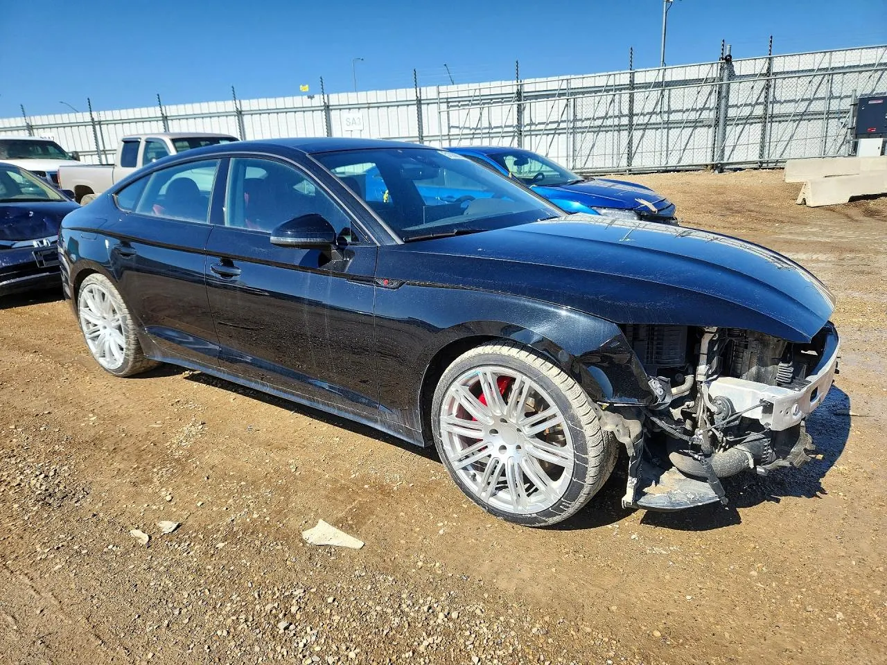 2024 Audi S5 Sportback Premium Plus