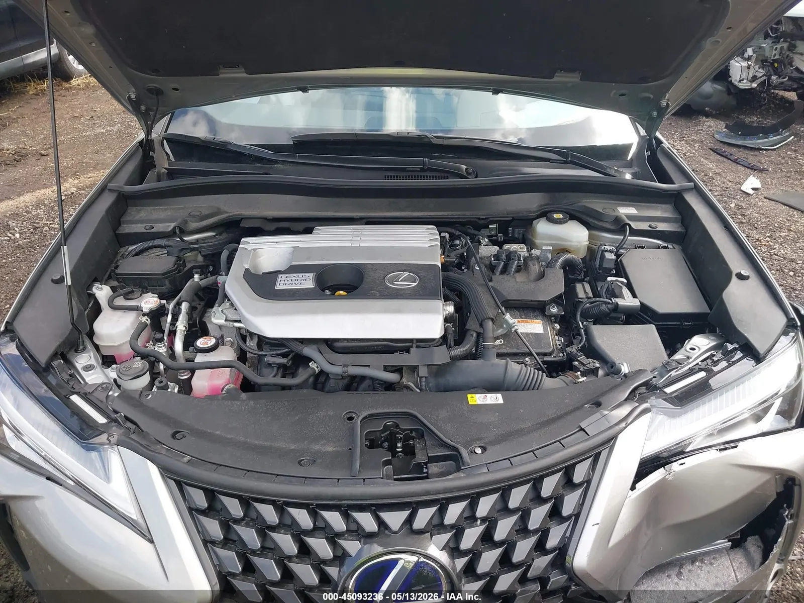2021 Lexus UX UX 250h