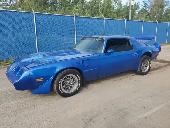 1980 Pontiac Firebird FIREBIRD T